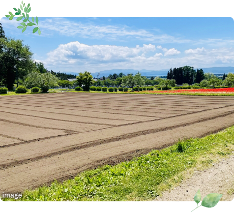 どんな家が建つのか？