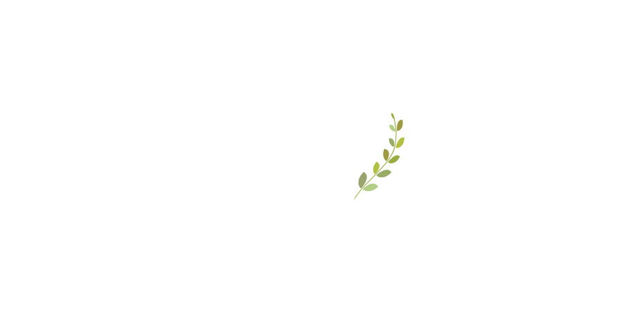 ダイニング・キッチン／打ち合せスペース