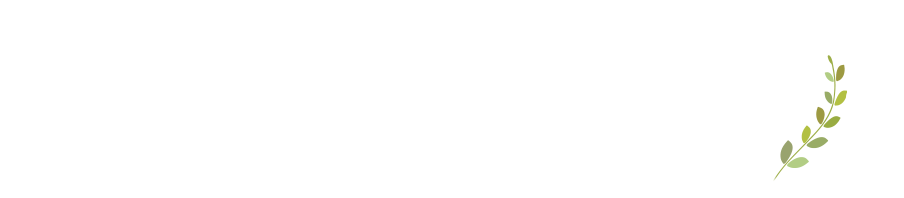 構造見学会